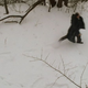 Image for article titled The Sopranos: “All Due Respect”